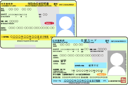 在留カード・特別永住者証明書画像